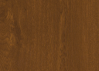 Skylight TERMO roof window golden oak