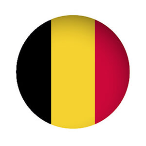 cennik transportu z Polski do Belgii